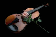 musicviolin.jpg